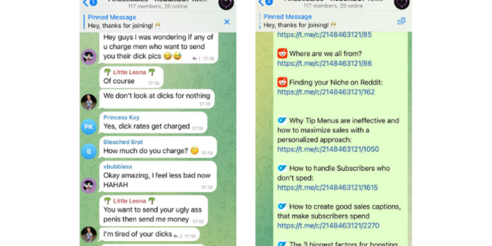 What is my Free Telegram group?